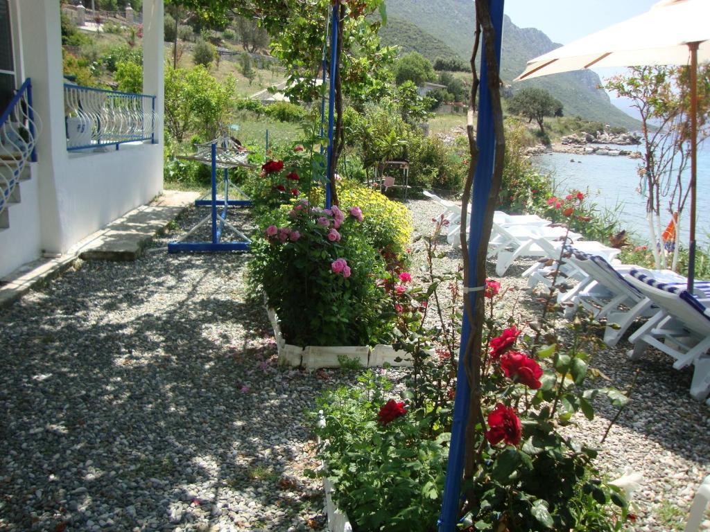 Mavi Akvaryum Pension Hotel Sogut  Exterior photo