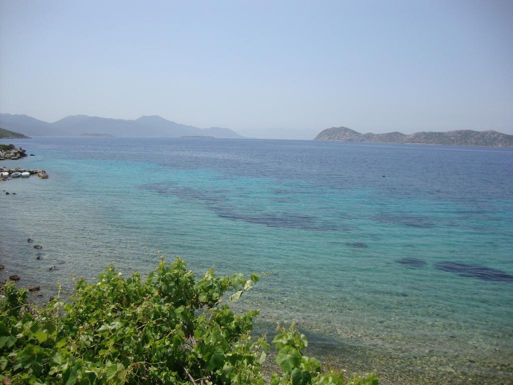 Mavi Akvaryum Pension Hotel Sogut  Exterior photo